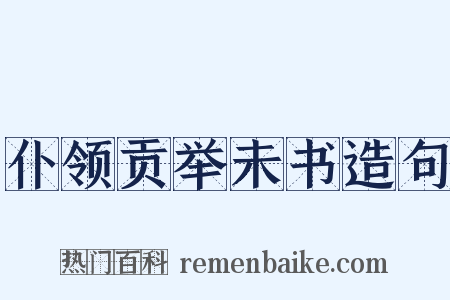 仆领贡举未书造句是什么意思的图片